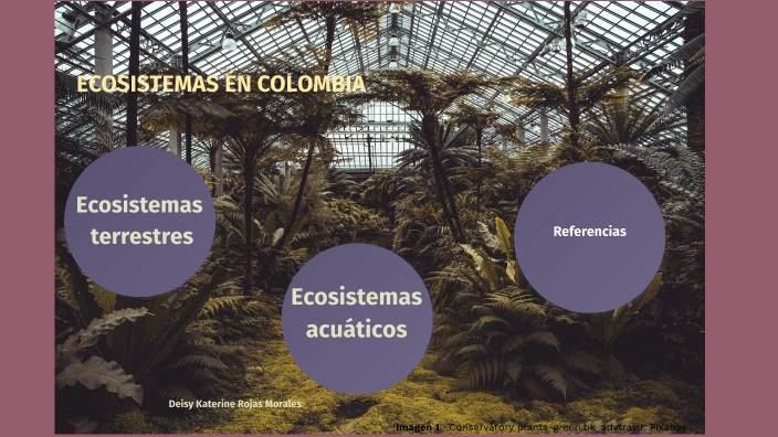 Ecosistemas Colombianos by deisy rojas on Prezi