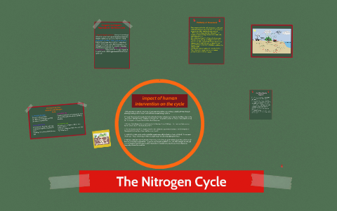 The Carbon cycle by on Prezi