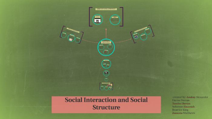 Getting An Understanding of Social Interaction and Social Structure by ...