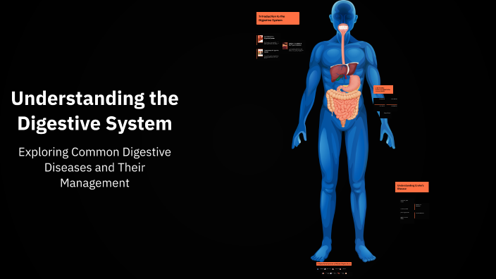 Understanding the Digestive System by rz mrz on Prezi