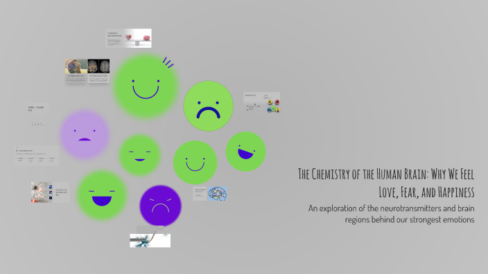 The Chemistry of the Human Brain: Why We Feel Love, Fear, and Happiness ...