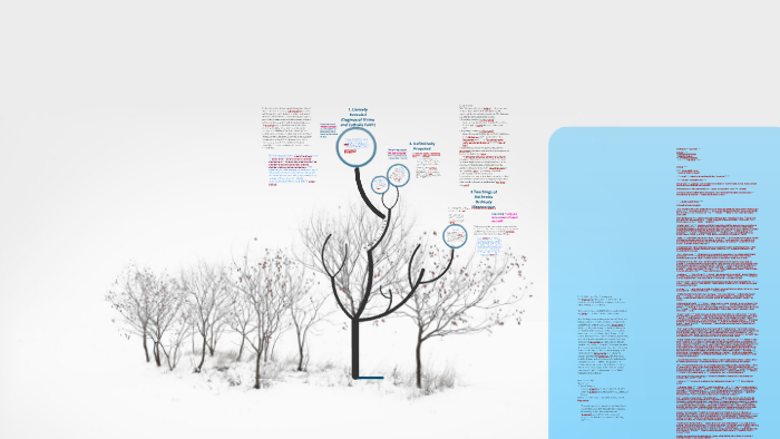 Commentary on Professio Fidei by Ryan Brady on Prezi