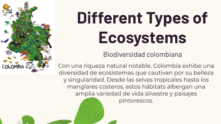 Ecosistemas de Colombia by DAYANNA MILETH AMANTE LLANES on Prezi