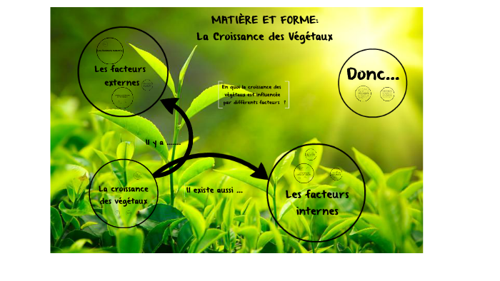 Croissance des plantes : vitesse - PagesJaunes