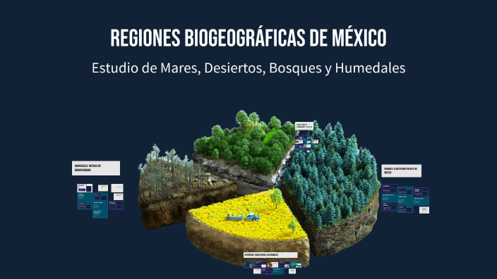 Regiones Biogeográficas de México by Alejandro López Piedad on Prezi