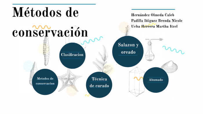 Métodos De Conservación By Melissa Mancillas On Prezi