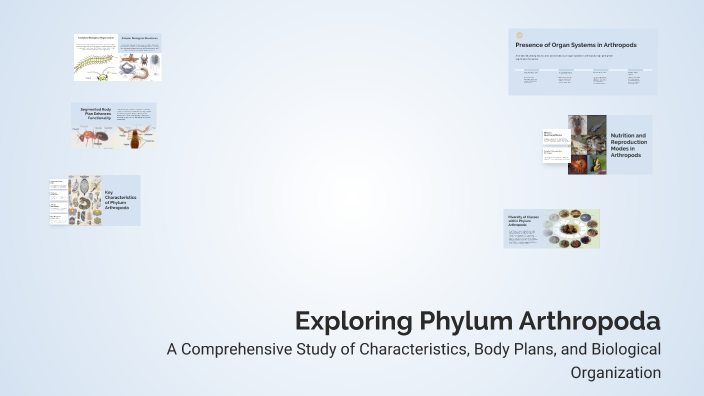 Exploring Phylum Arthropoda by JESSIBEL DINGCONG on Prezi