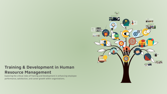 Training & Development in Human Resource Management by Akanksha on Prezi