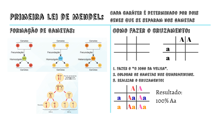 Aplicação do modelo  Jogo da Velha Mendeliano  em (a) e (b) nas