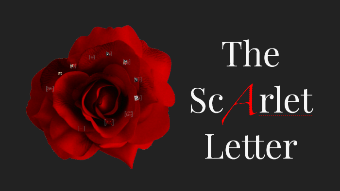the scarlet letter novel
