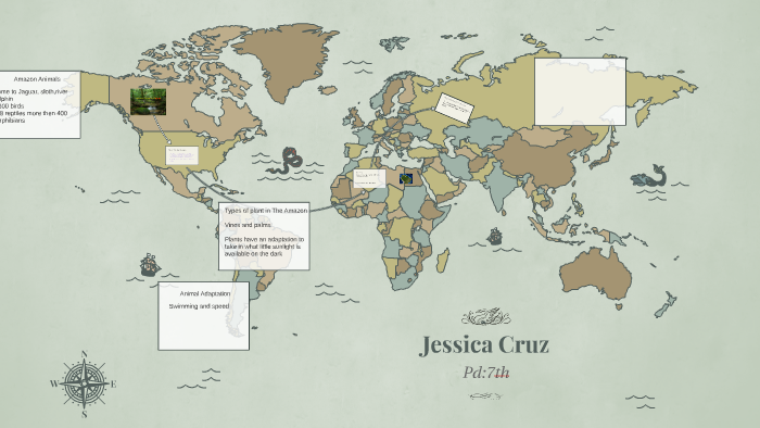 Amazon Rainforest biome by Jessica Cruz on Prezi