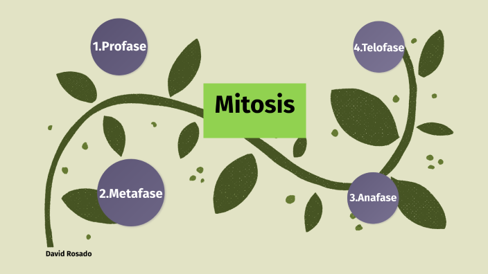 mindmap by David Rosado Romero on Prezi