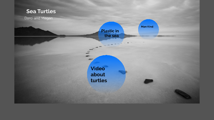 Endangered sea turtles by Megan Richards on Prezi