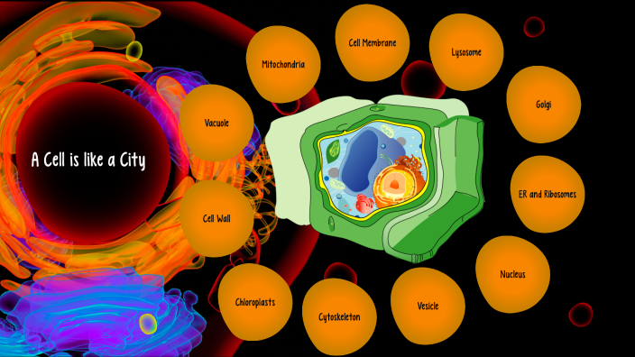 A Cell is like a City by Ryan Lee on Prezi