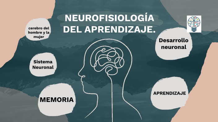 fisiologia del aprendizaje by Lizeth Vanessa TRUJILLO PRADA on Prezi