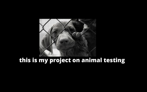 why animal testing is wrong