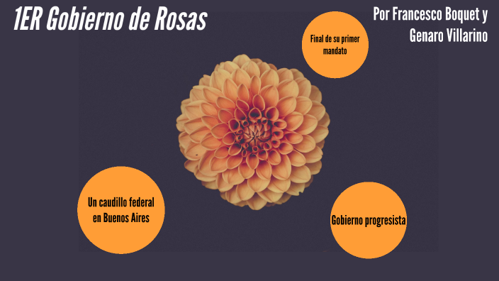 1 gobierno de rosas by Francesco Boquet on Prezi