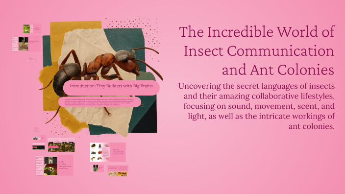 The Incredible World of Insect Communication and Ant Colonies by Daria ...