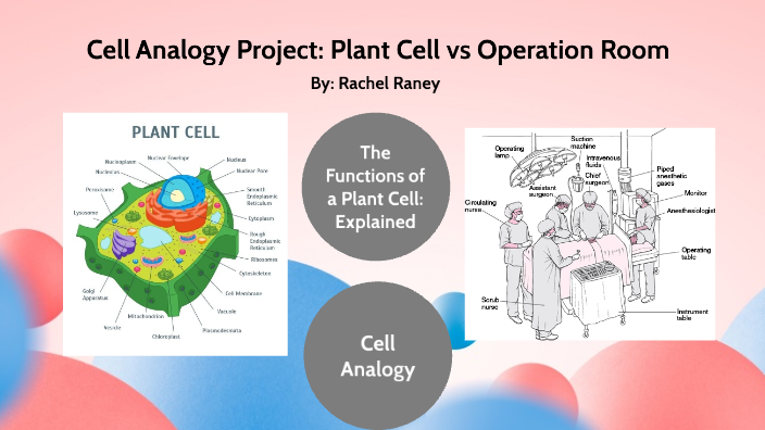 Cell Analogy Project: Plant Cell vs Operation Room by Rachel Raney on Prezi