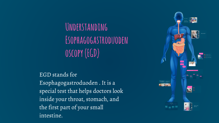 Egd Work Understanding Esophagogastroduodenoscopy (EGD) by Taylor Green on Prezi