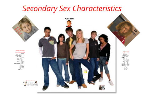 Secondary Sex Characteristics By Chester Janke On Prezi