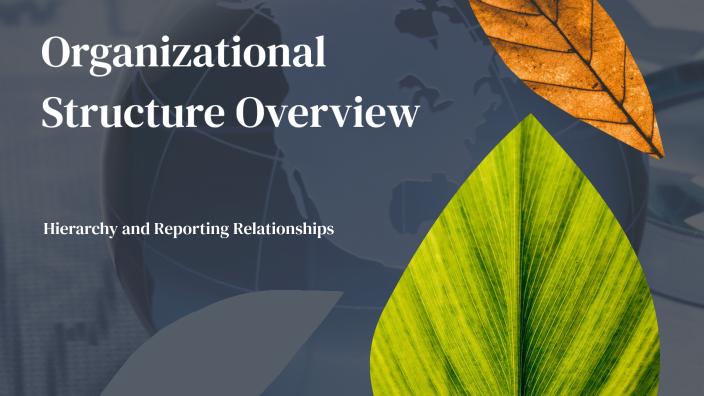 Organizational Structure Overview by James Hambly-Smith on Prezi