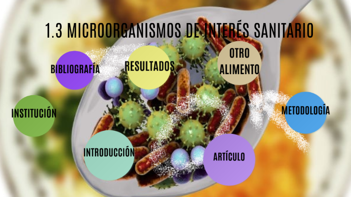 1.3 MICROORGANISMOS DE INTERÉS SANITARIO (Bacterias) by Lourdes Colin ...