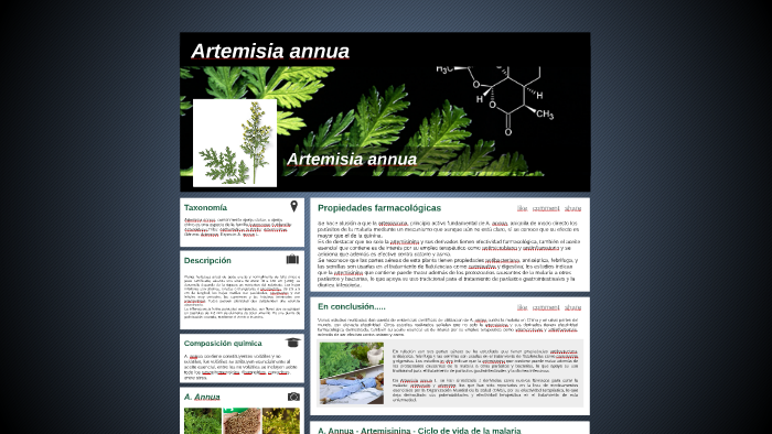 Artemisia annua - Ajenjo dulce - 1000 semillas