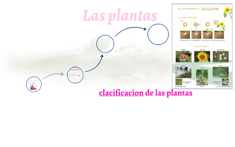 clacificacion de las plantas by sherlyn cabrera