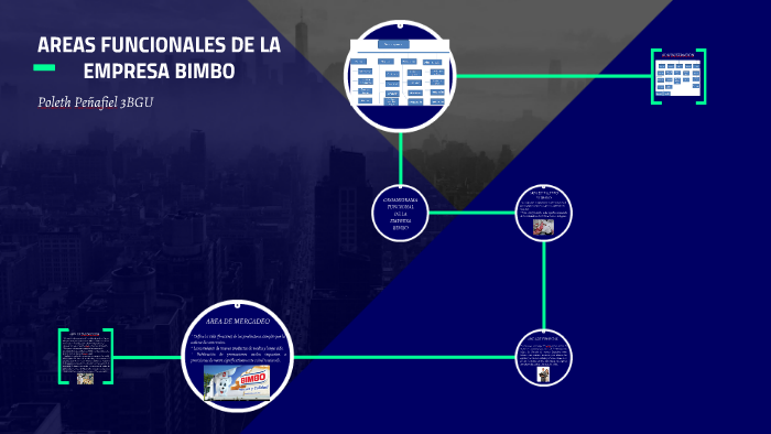 áreas Funcionales De La Empresa Bimbo