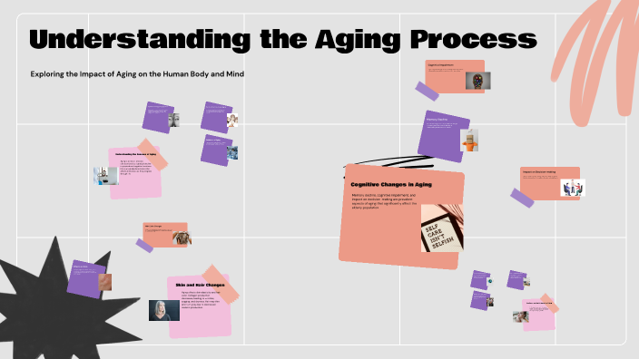 Understanding the Aging Process by Anson on Prezi