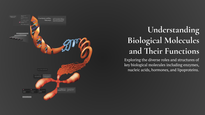 Understanding Biological Molecules and Their Functions by Jomana A7 on ...