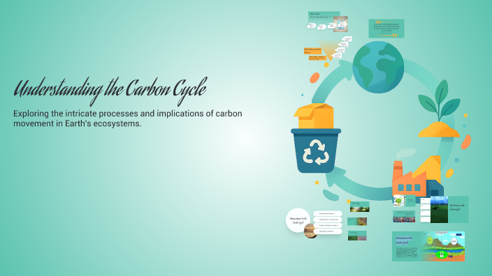 Understanding the Carbon Cycle by Singyeak Vong on Prezi