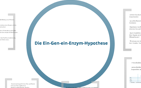 experiment zur ein gen ein enzym hypothese