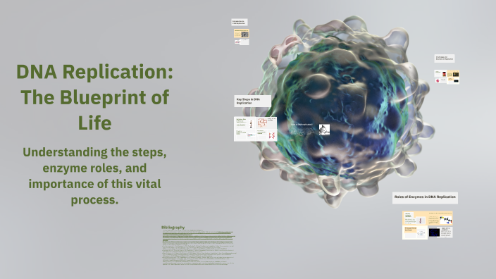 DNA Replication: The Blueprint of Life by Mohamed Mohamed on Prezi