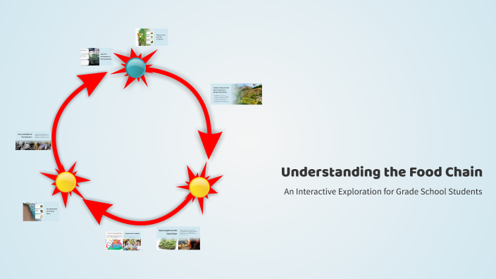 Understanding the Food Chain by Princess Penaflor on Prezi