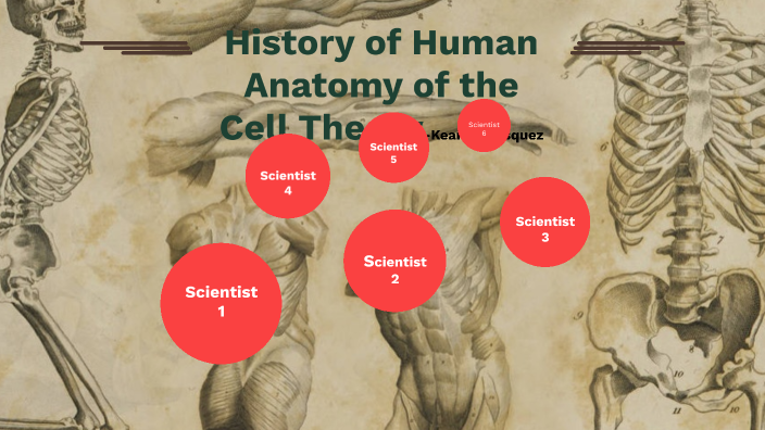 History of Human Anatomy and Phnysiology by Keara Velasquez on Prezi