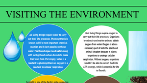 Ishaan Anand - VISITING THE ENVIRONMENT by Ishaan Anand on Prezi Design