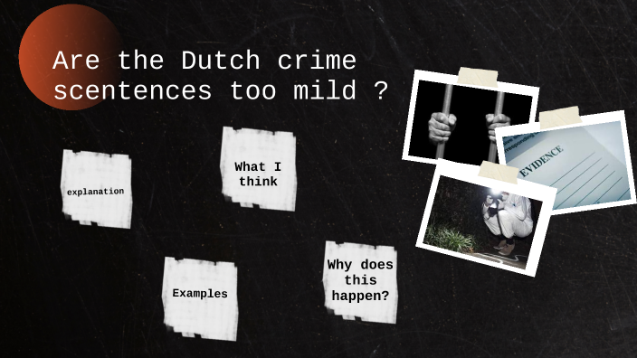 are-the-crime-sentences-in-the-netherlands-to-mild-by-isabel-van-hees