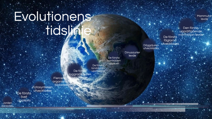 Evolutionens tidslinje by Lova Johansson on Prezi
