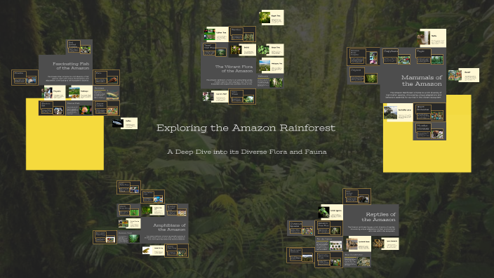 Exploring the Amazon Rainforest by Daniel Michaux on Prezi