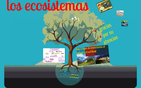 los ecosistemas by enrique medina on Prezi