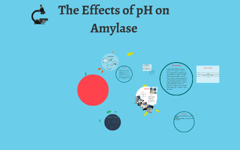 effect of ph on salivary amylase