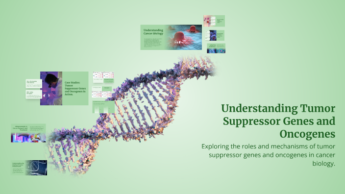 Understanding Tumor Suppressor Genes and Oncogenes by Alemayehu Girma ...