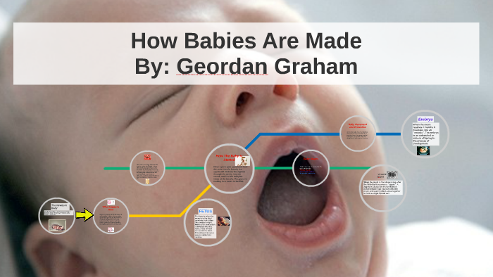 How Babies Are Made by Geordan Graham on Prezi