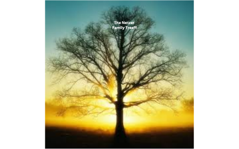 the netzer family tree!! by Corynn Netzer on Prezi