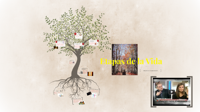 Etapas de la Vida by Franco Barreneche on Prezi