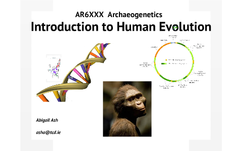 Human Evolution Lecture by Abigail Ash on Prezi