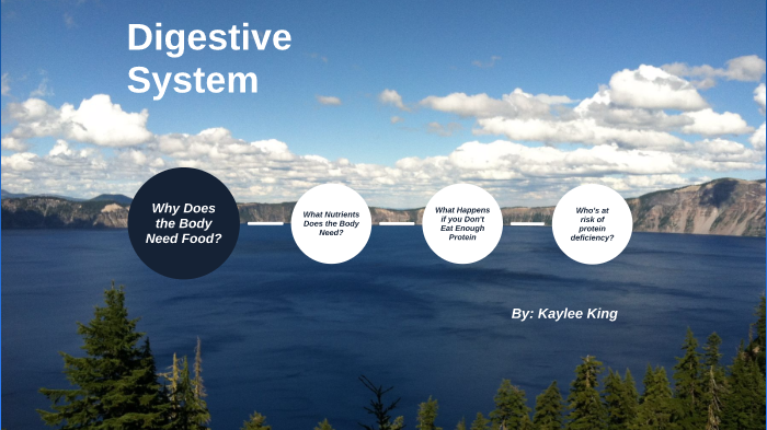 Digestive System by Kaylee King on Prezi