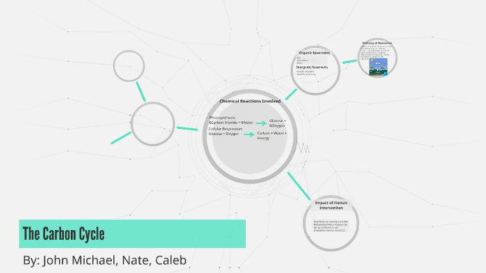 The Carbon Cycle by John Michael Burrow on Prezi